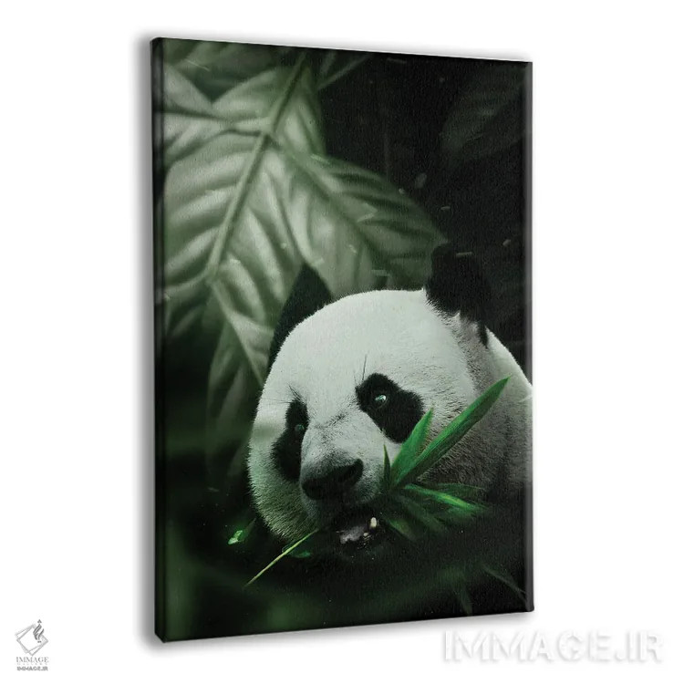 تابلو دکوراتیو پاندا اثر میلوش کارانوویچ - نمای پرسپکتیو محصول
