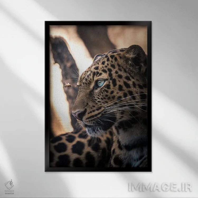 تابلو دکوراتیو منظره شیر اثر میلوش کارانوویچ - نمای قابدار مشکی