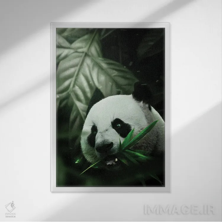 تابلو دکوراتیو پاندا اثر میلوش کارانوویچ - نمای قابدار سفید