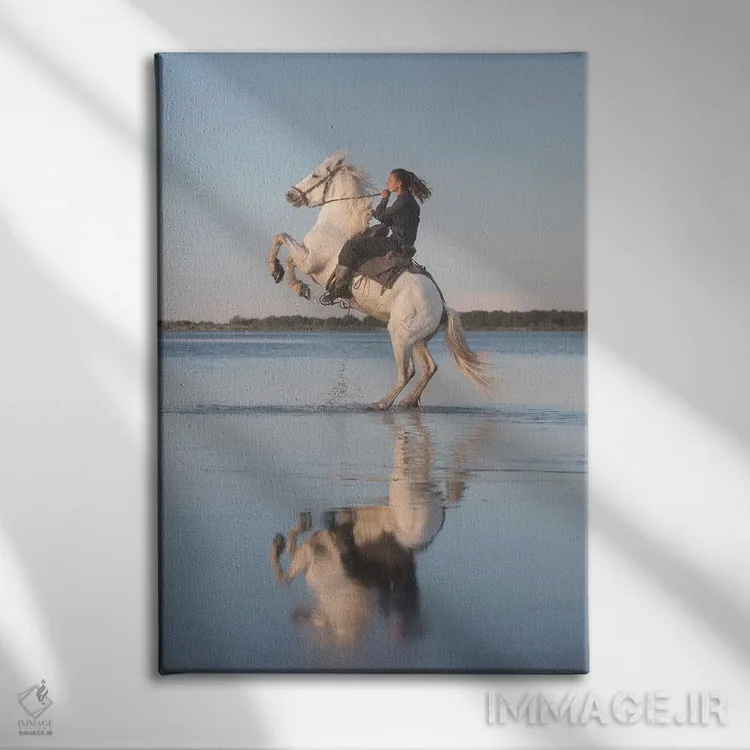 تابلو دکوراتیو فرشتگان سفید کامارگ IV اثر دنیل کردان - نمای روبهرو روی دیوار