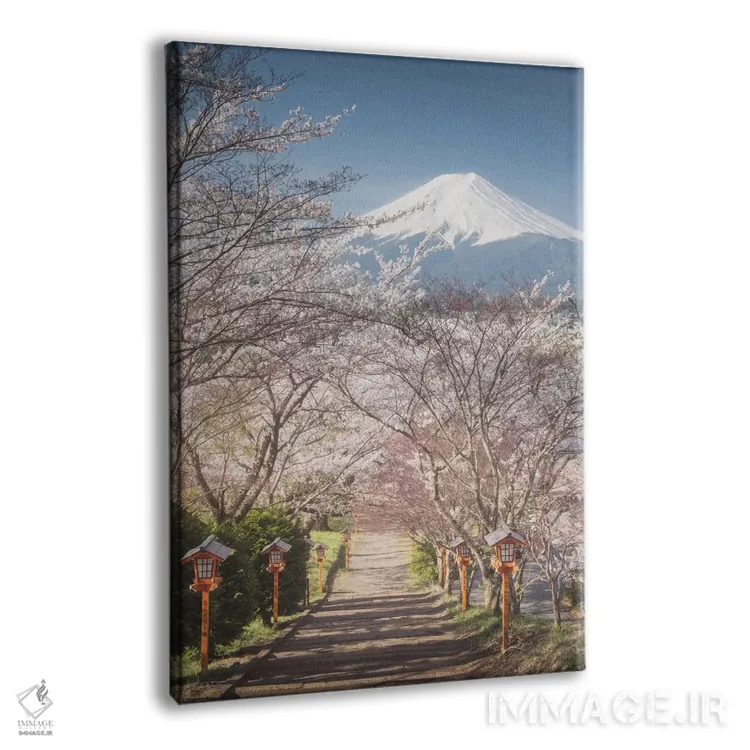 تابلو دکوراتیو بهار در ژاپن اول اثر دنیل کردان - نمای پرسپکتیو محصول