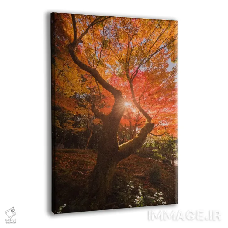 تابلو دکوراتیو پاییز در ژاپن بیست وهشتم اثر دنیل کردان - نمای پرسپکتیو محصول