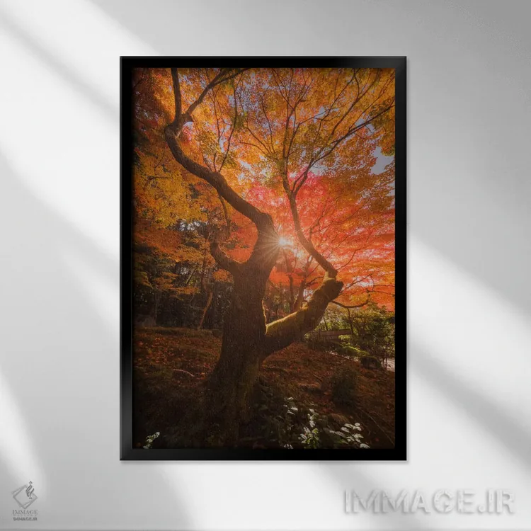 تابلو دکوراتیو پاییز در ژاپن بیست وهشتم اثر دنیل کردان - نمای قابدار مشکی