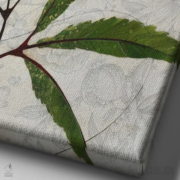 تابلو دکوراتیو آفتابگردان اثر کارن سیکیه - نمای نزدیک بافت بوم