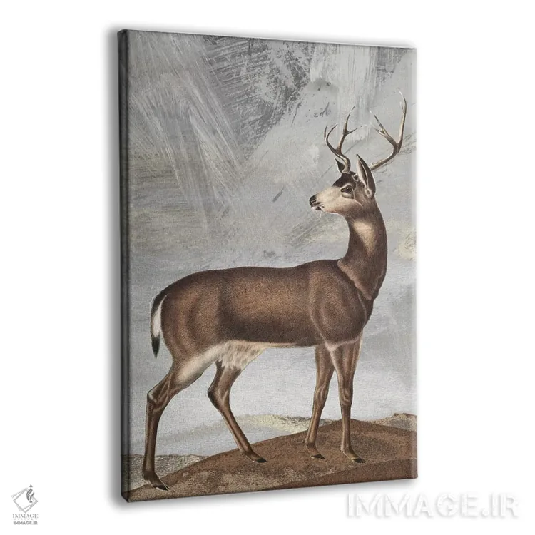 تابلو دکوراتیو گوزن ژست گرفته II اثر کارن اسمیت - نمای پرسپکتیو محصول