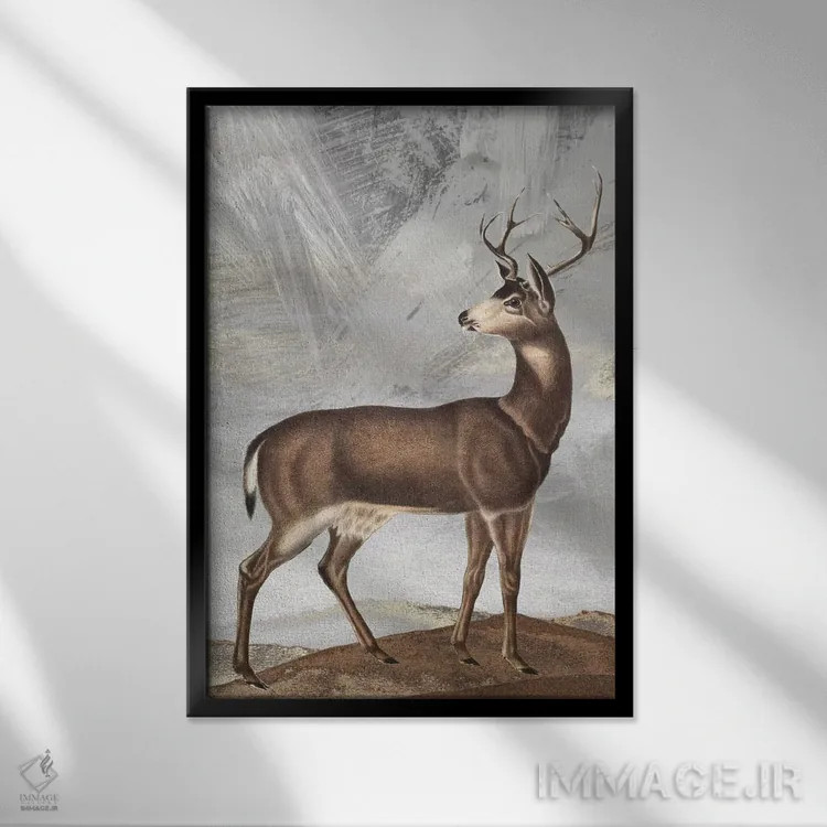 تابلو دکوراتیو گوزن ژست گرفته II اثر کارن اسمیت - نمای قابدار مشکی