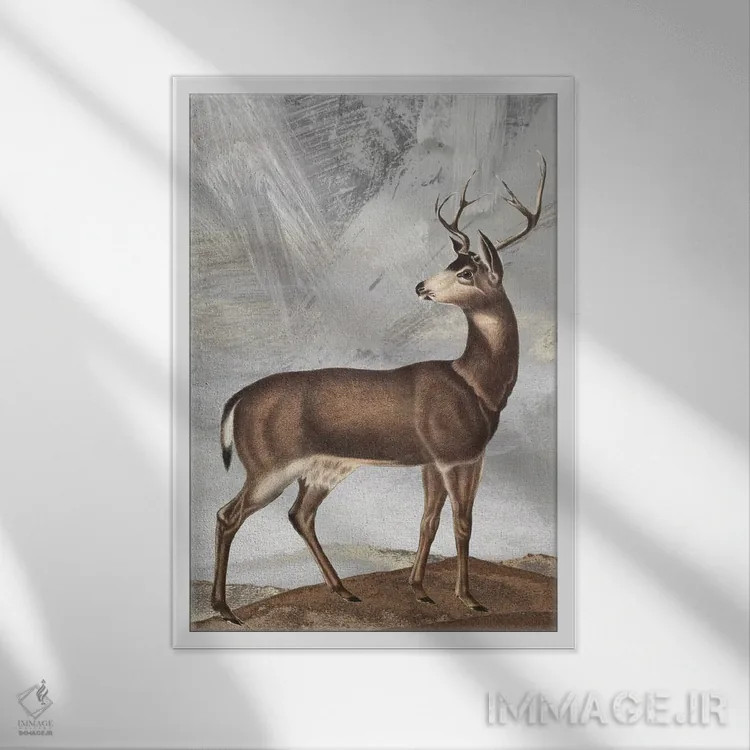 تابلو دکوراتیو گوزن ژست گرفته II اثر کارن اسمیت - نمای قابدار سفید