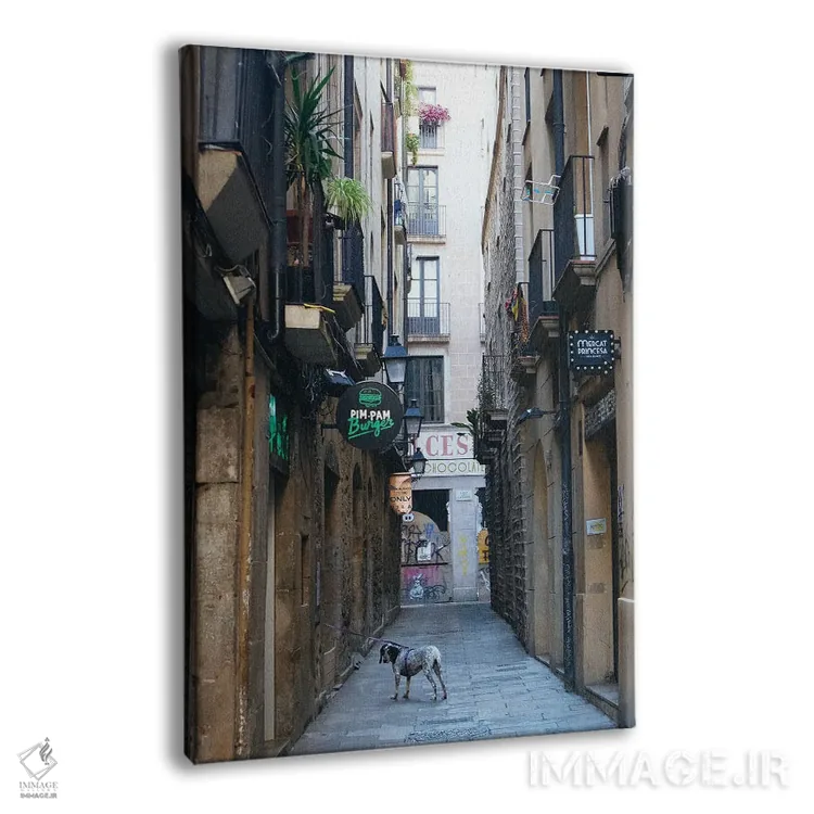 تابلو دکوراتیو در خیابان بارسلون اثر کاترینا بورتسووا - نمای پرسپکتیو محصول