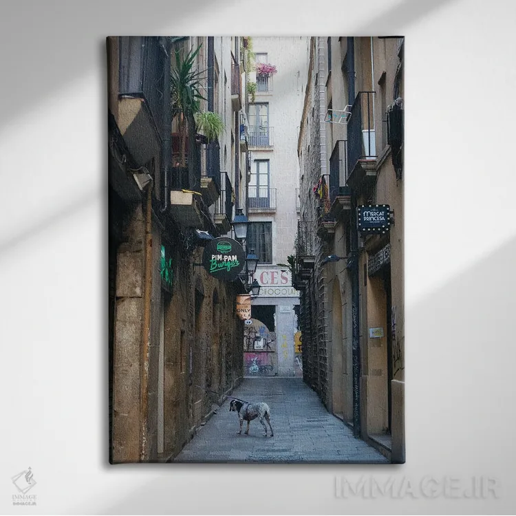 تابلو دکوراتیو در خیابان بارسلون اثر کاترینا بورتسووا - نمای روبهرو روی دیوار