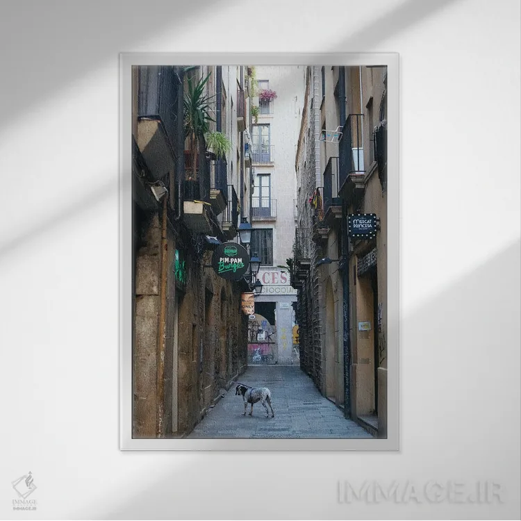 تابلو دکوراتیو در خیابان بارسلون اثر کاترینا بورتسووا - نمای قابدار سفید