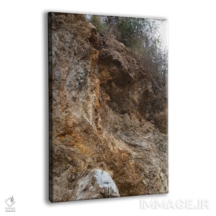 تابلو دکوراتیو بافت وحشی اثر کاترینا بورتسووا - نمای پرسپکتیو محصول