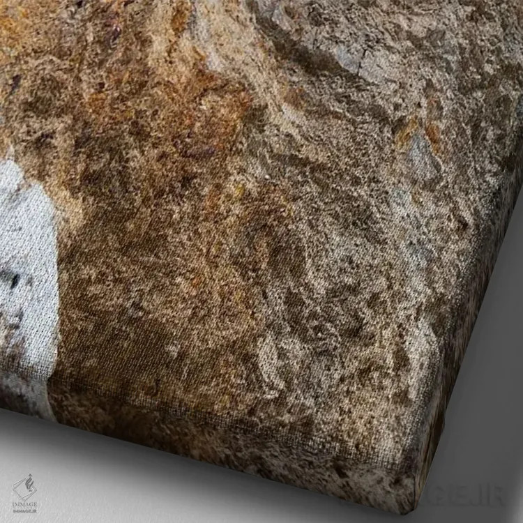 تابلو دکوراتیو بافت وحشی اثر کاترینا بورتسووا - نمای نزدیک بافت بوم