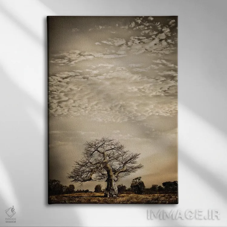 تابلو دکوراتیو سلسله مراتب بائوباب I اثر کلاوس تیدگه - نمای روبهرو روی دیوار