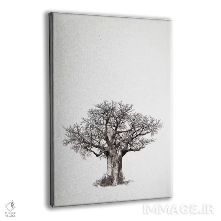 تابلو مینیمال میراث بائوباب IV اثر کلاوس تیدگه - نمای پرسپکتیو محصول