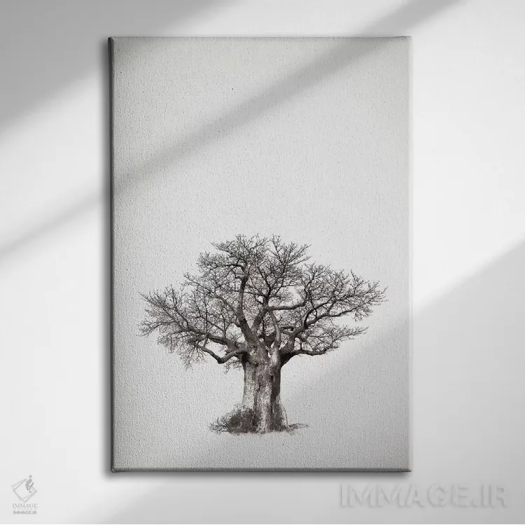 تابلو مینیمال میراث بائوباب IV اثر کلاوس تیدگه - نمای روبهرو روی دیوار