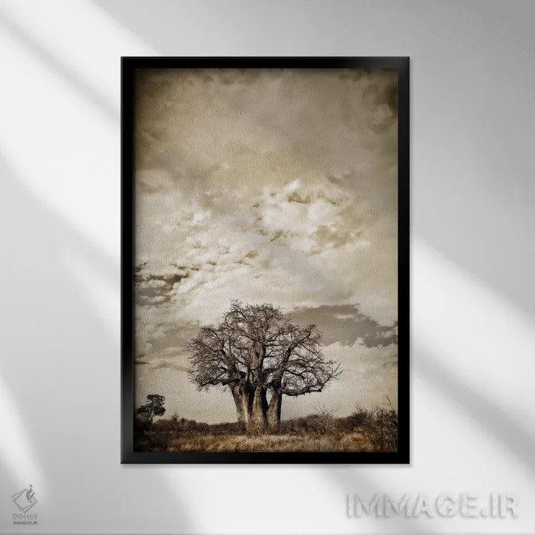 تابلو دکوراتیو سلسله مراتب بائوباب III اثر کلاوس تیدگه - نمای قابدار مشکی