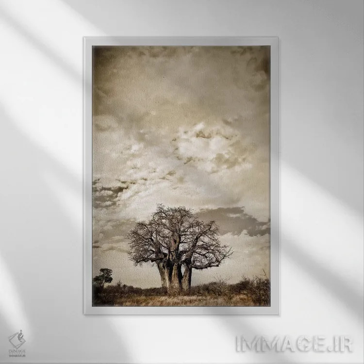 تابلو دکوراتیو سلسله مراتب بائوباب III اثر کلاوس تیدگه - نمای قابدار سفید