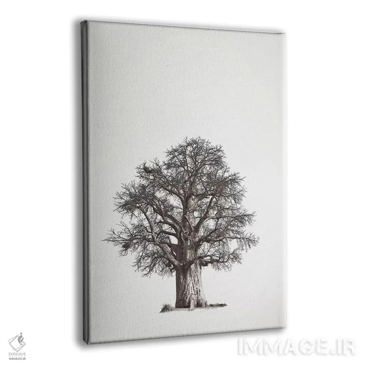 تابلو مینیمال میراث بائوباب II اثر کلاوس تیدگه - نمای پرسپکتیو محصول