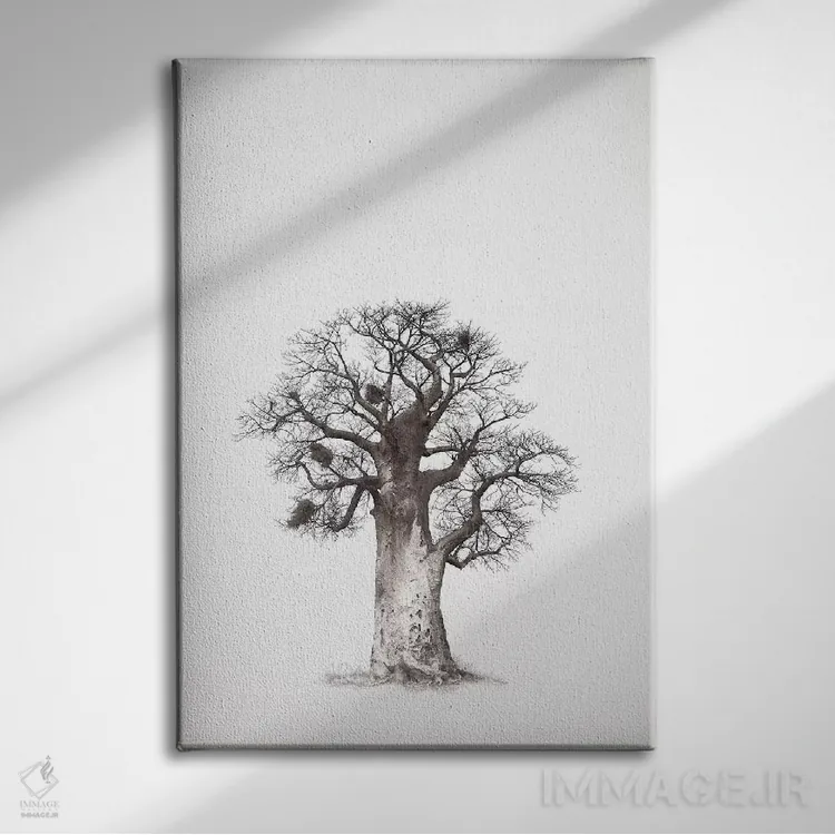 تابلو مینیمال میراث بائوباب V اثر کلاوس تیدگه - نمای روبهرو روی دیوار