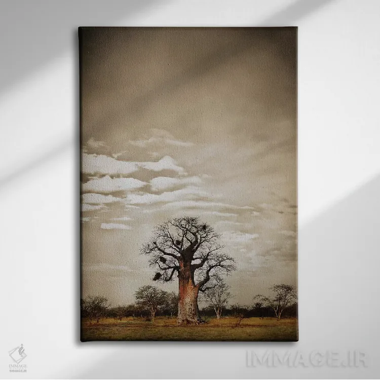 تابلو مینیمال سلسله مراتب بائوباب V اثر کلاوس تیدگه - نمای روبهرو روی دیوار