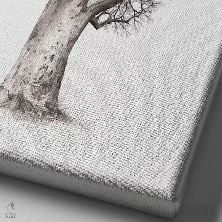 تابلو مینیمال میراث بائوباب V اثر کلاوس تیدگه - نمای نزدیک بافت بوم