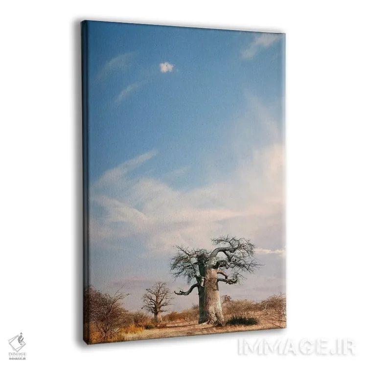 تابلو دکوراتیو بائوباب نای نای II اثر کلاوس تیدگه - نمای پرسپکتیو محصول