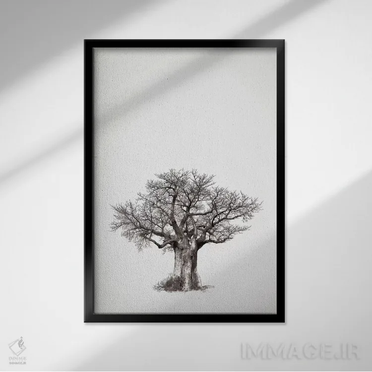 تابلو مینیمال میراث بائوباب IV اثر کلاوس تیدگه - نمای قابدار مشکی