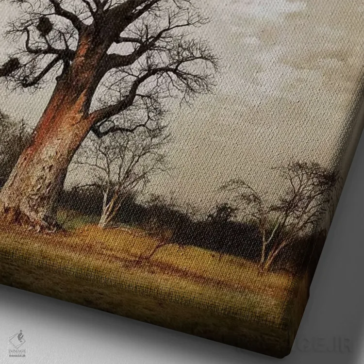 تابلو مینیمال سلسله مراتب بائوباب V اثر کلاوس تیدگه - نمای نزدیک بافت بوم