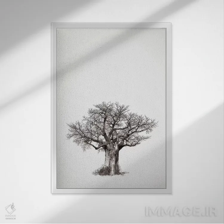 تابلو مینیمال میراث بائوباب IV اثر کلاوس تیدگه - نمای قابدار سفید