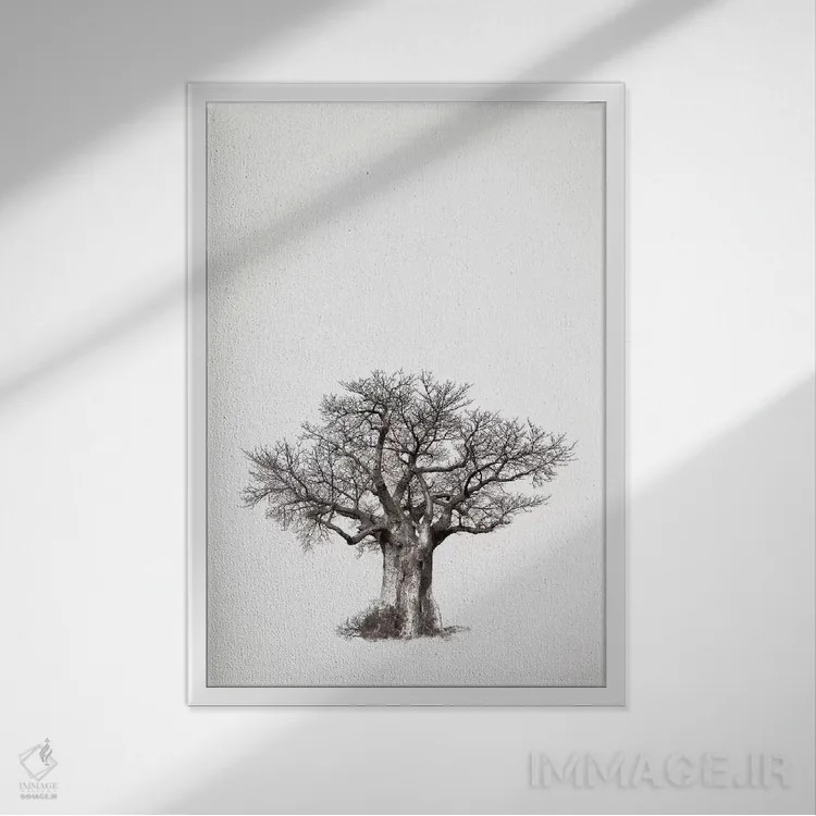 تابلو مینیمال میراث بائوباب IV اثر کلاوس تیدگه - نمای قابدار سفید