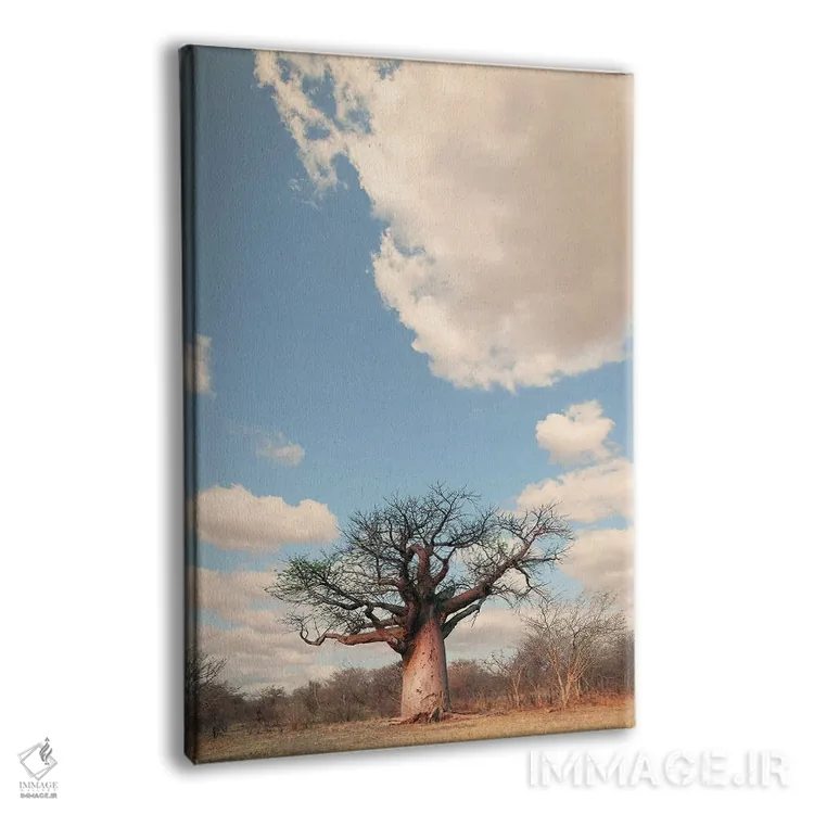 تابلو دکوراتیو بائوباب نای نای I اثر کلاوس تیدگه - نمای پرسپکتیو محصول