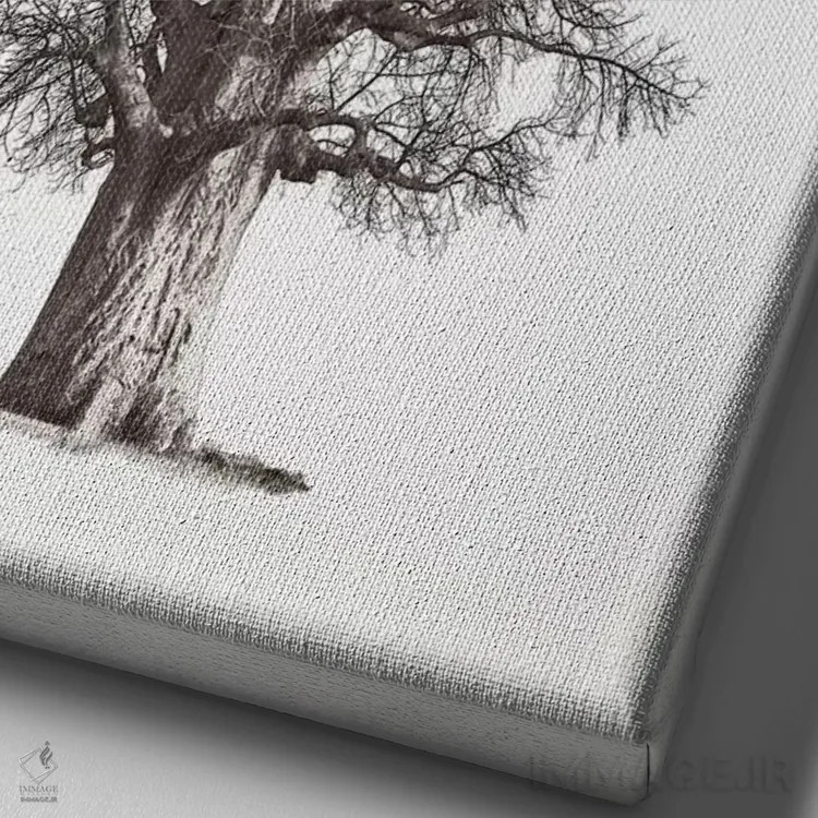 تابلو مینیمال میراث بائوباب II اثر کلاوس تیدگه - نمای نزدیک بافت بوم