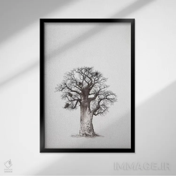 تابلو مینیمال میراث بائوباب V اثر کلاوس تیدگه - نمای قابدار مشکی