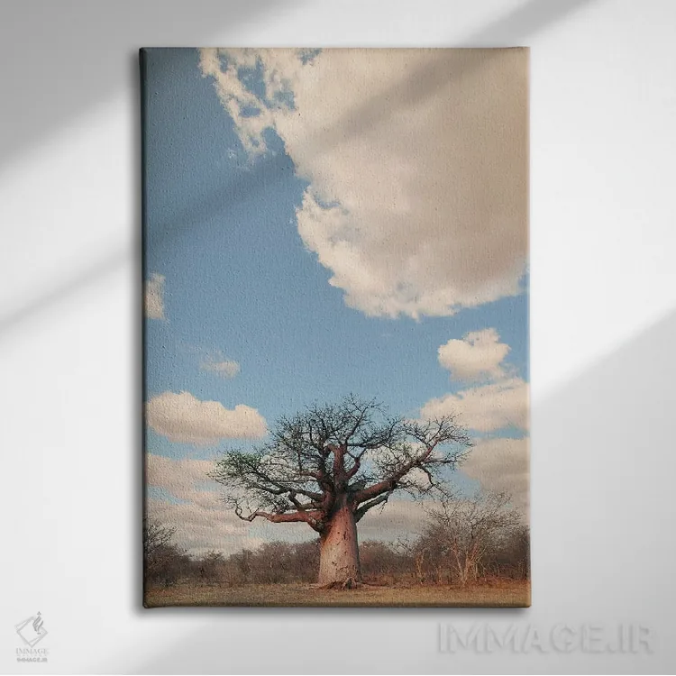 تابلو دکوراتیو بائوباب نای نای I اثر کلاوس تیدگه - نمای روبهرو روی دیوار