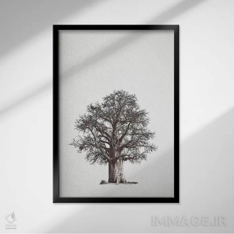 تابلو مینیمال میراث بائوباب II اثر کلاوس تیدگه - نمای قابدار مشکی