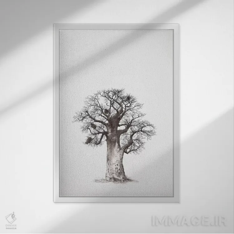 تابلو مینیمال میراث بائوباب V اثر کلاوس تیدگه - نمای قابدار سفید