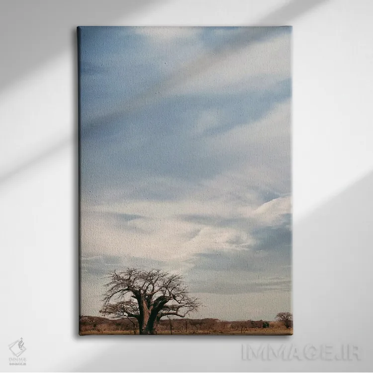 تابلو دکوراتیو بائوباب نای نای V اثر کلاوس تیدگه - نمای روبهرو روی دیوار