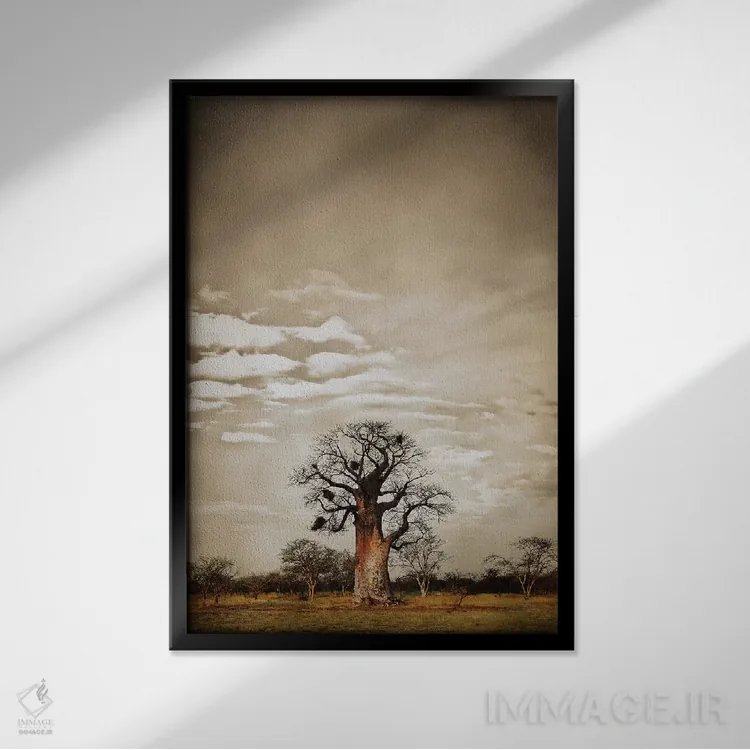تابلو مینیمال سلسله مراتب بائوباب V اثر کلاوس تیدگه - نمای قابدار مشکی