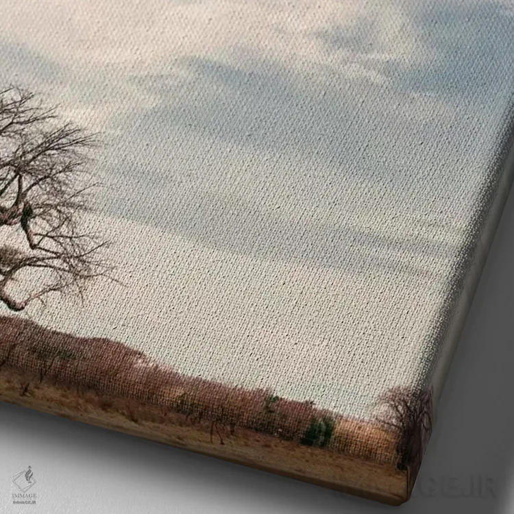 تابلو دکوراتیو بائوباب نای نای V اثر کلاوس تیدگه - نمای نزدیک بافت بوم