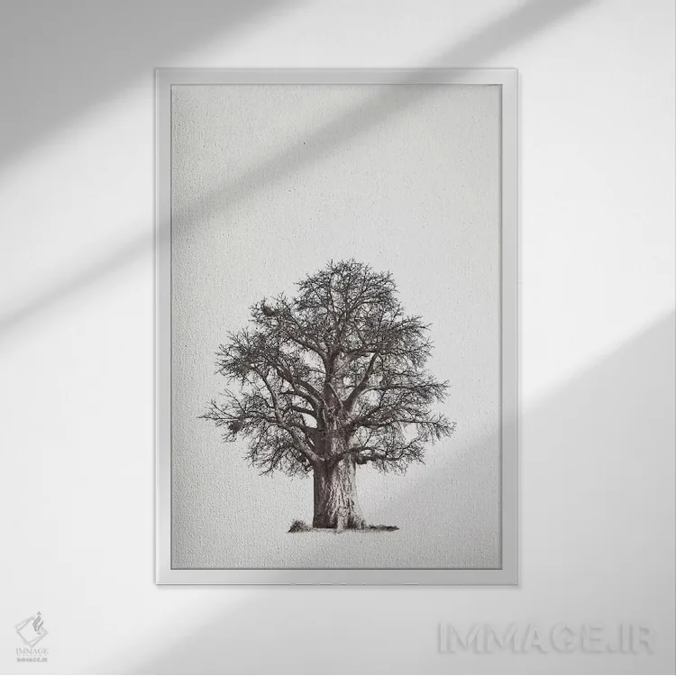 تابلو مینیمال میراث بائوباب II اثر کلاوس تیدگه - نمای قابدار سفید