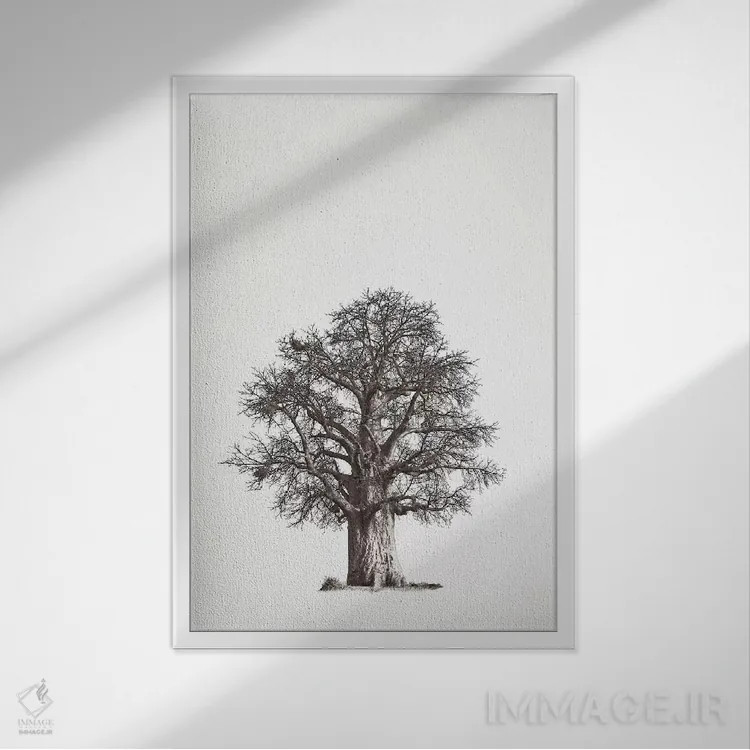 تابلو مینیمال میراث بائوباب II اثر کلاوس تیدگه - نمای قابدار سفید