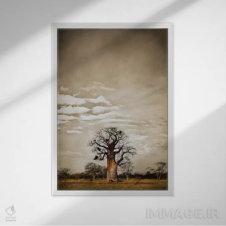 تابلو مینیمال سلسله مراتب بائوباب V اثر کلاوس تیدگه - نمای قابدار سفید