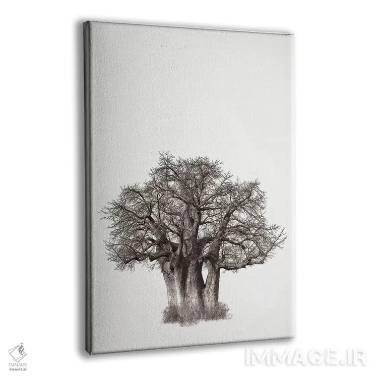 تابلو مینیمال میراث بائوباب ۳ اثر کلاوس تیدگه - نمای پرسپکتیو محصول