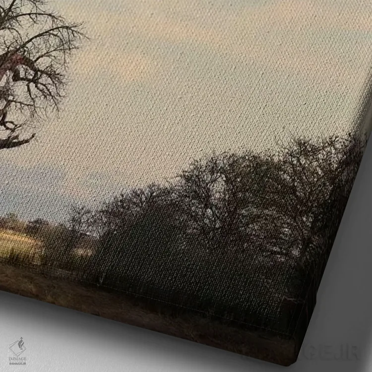 تابلو دکوراتیو بائوباب نای نای III اثر کلاوس تیدگه - نمای نزدیک بافت بوم