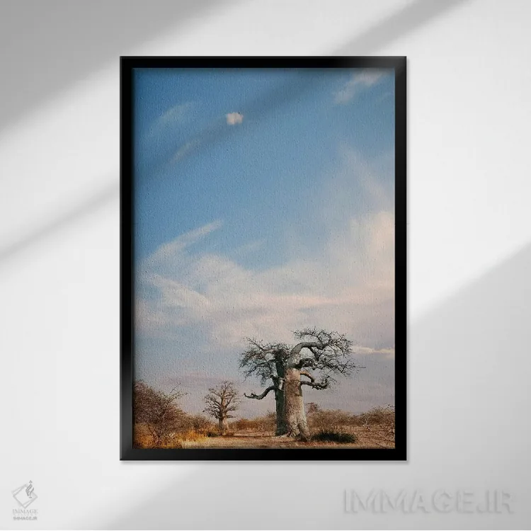 تابلو دکوراتیو بائوباب نای نای II اثر کلاوس تیدگه - نمای قابدار مشکی