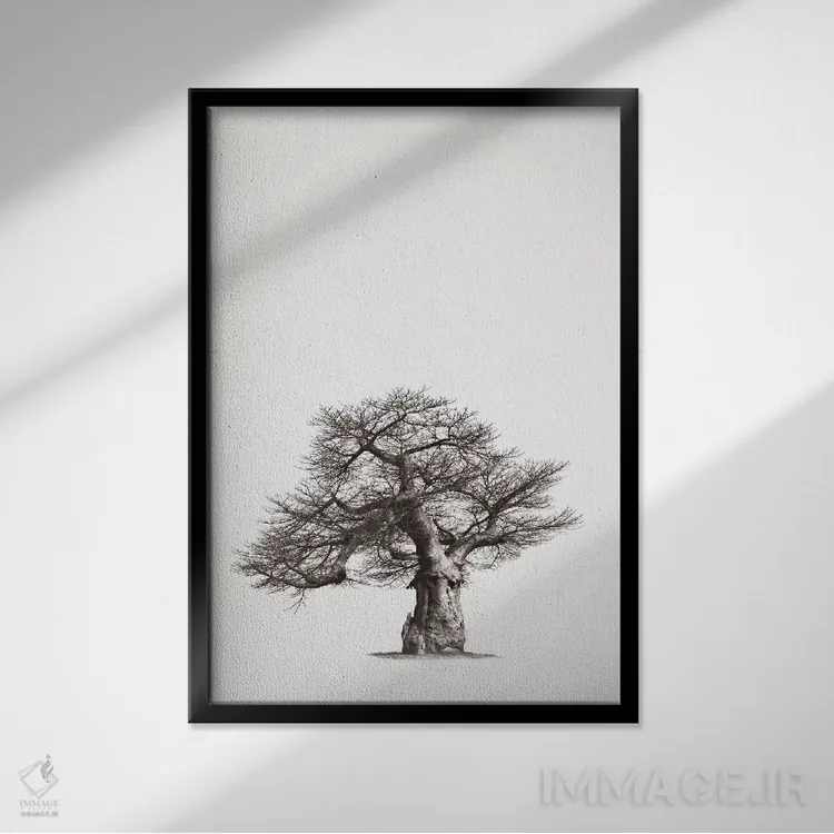 تابلو مینیمال میراث بائوباب I اثر کلاوس تیدگه - نمای قابدار مشکی
