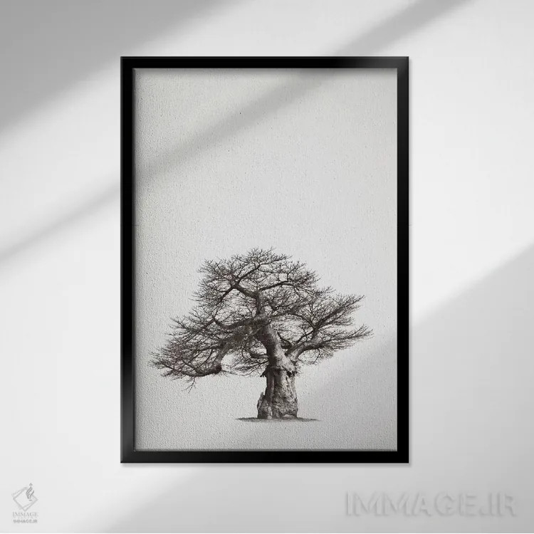 تابلو مینیمال میراث بائوباب I اثر کلاوس تیدگه - نمای قابدار مشکی