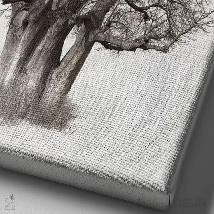 تابلو مینیمال میراث بائوباب ۳ اثر کلاوس تیدگه - نمای نزدیک بافت بوم