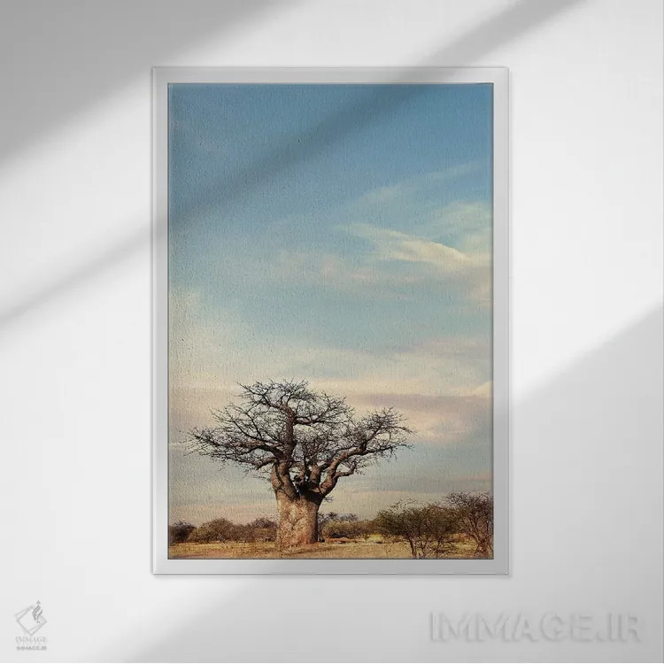 تابلو دکوراتیو بائوباب نای نای IV اثر کلاوس تیدگه - نمای قابدار سفید