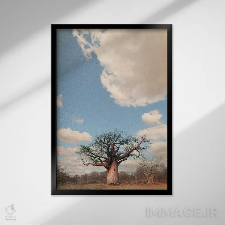 تابلو دکوراتیو بائوباب نای نای I اثر کلاوس تیدگه - نمای قابدار مشکی